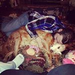 Adam Mier - Instagram Profile Picture of Adam Mier (@mieradam) on Instagram