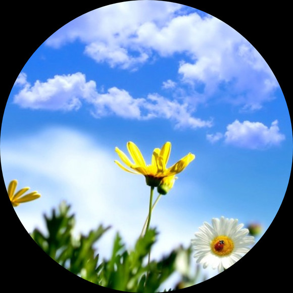 Profile Picture of Jay Tomascik (@jtom1228) on Poshmark