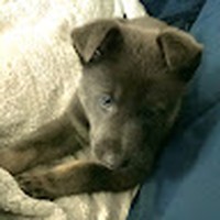 Profile Picture of Wesley Ramsey (@wesley-ramsey-17) on Quora