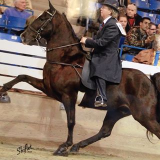 Profile Picture of Sarah Mitch (@sarah.mitch.315) on Facebook