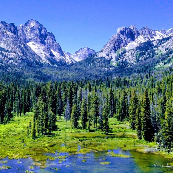 Profile Picture of Charlie Konrath (@charliekonrath) on Poshmark