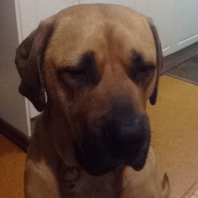 Profile Picture of Dylan Bradshaw (@dylanbradshaw67) on Twitter
