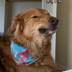 Profile Picture of Leah (@leah.reidy) on Instagram