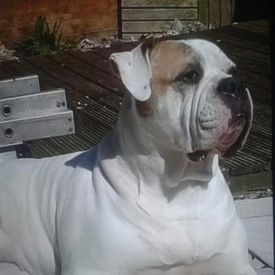 Profile Picture of Paul McGregor (@PaulMcG27960683) on Twitter