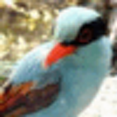 Profile Picture of Robin Duvall (@DuvallRobin) on Twitter