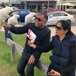 Profile Picture of Rajesh Sethi (@rajesh.sethi.96995238) on Instagram