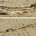 Malia Bryant - Instagram Profile Picture of Malia Bryant (@maliabryantd) on Instagram