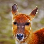 Profile Picture of Paul Burns (@paulburns131) on Flickr