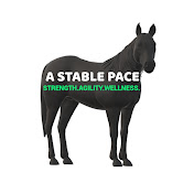 Profile Picture of April Plummer A Stable Pace (@aprilplummerastablepace) on Youtube