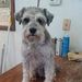 Profile Picture of Joyce Thompson (@joycethompson99) on Pinterest
