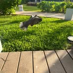 Profile Picture of Chad Bertson (@Chad-Bertson) on Facebook