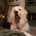 Profile Picture of Barb Glenn Hergott (Barbee) (@Barb-Glenn-Hergott) on Facebook