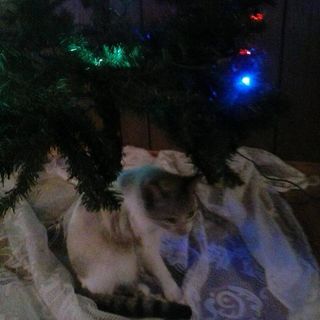 Lora Brock - Facebook Profile Picture of Lora Brock (@lora.brock.75) on Facebook