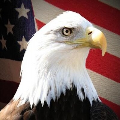Profile Picture of Scott Heagney (@ScottHeagney) on Twitter
