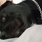 Profile Picture of Kelli Hollister Cisneros (@kelli.h.cisneros) on Instagram