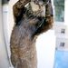 Profile Picture of Renesse Maynard (@renessem) on Pinterest