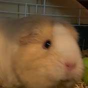 Profile Picture of Adam Kaltenbach (@adamkaltenbach7696) on Youtube