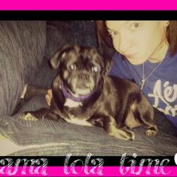 Profile Picture of Staci Vihnicka (@stacilynn26) on Twitter