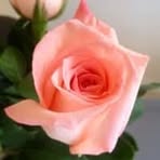 Profile Picture of Janet Slawinski (@janet.slawinski) on Facebook