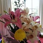 Profile Picture of Vicky Atkinson (@atkinson3592) on Instagram