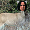 Profile Picture of Brian Schmidt (@A Redhead in Ireland) on Flickr