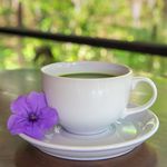 Profile Picture of Brent Dyson Fitness (@brentdfitness) on Instagram