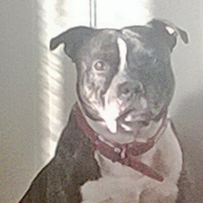 Profile Picture of Danielle Guy (@GuyDanielleguy8) on Twitter