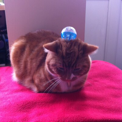Profile Picture of Scott (@scottsid200) on Twitter