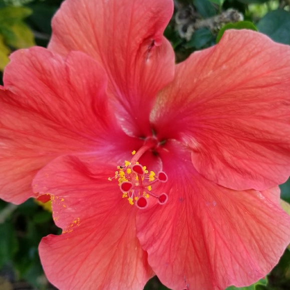 Profile Picture of Carie Krupicka (@bobinus1209) on Poshmark