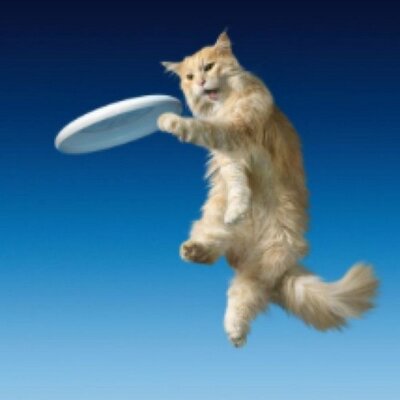 Profile Picture of Joe Fairbairn (@Joseph198Co) on Twitter