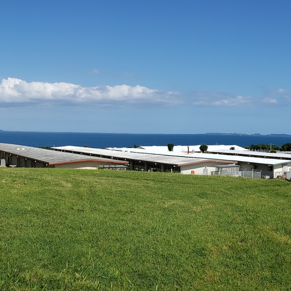 Profile Picture of Jeff Chandler (@silverback1371) on Poshmark