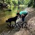 Profile Picture of Kim Hafner (@kim.hafner) on Facebook