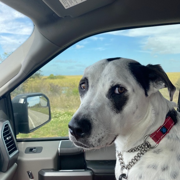 Profile Picture of Nicholas Maltezos (@tezo847) on Poshmark