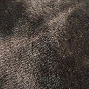 Profile Picture of Ben Hand (@benhand1020) on Youtube