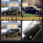 Profile Picture of Uk No 1 Transport Company (@dean_coleman1987) on Instagram