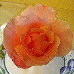 Profile Picture of Patricia Adauto (@vicdarkim) on Instagram