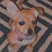 Profile Picture of Avahefner (@avahefner7) on Pinterest