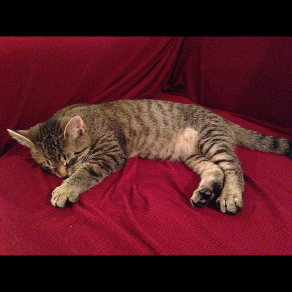 Profile Picture of Janeth Jaramillo (@jacks89) on Poshmark