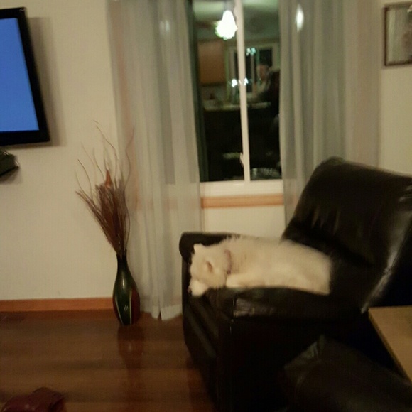 Profile Picture of Carol Busonick (@jocabus) on Poshmark