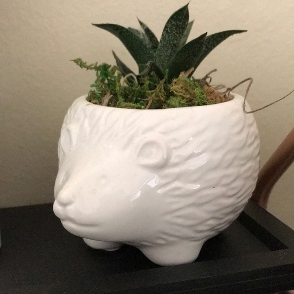 Profile Picture of Samantha Killinger (@tinytwomice) on Poshmark