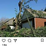 Profile Picture of Randy Oakes (@randyoakes1) on Instagram