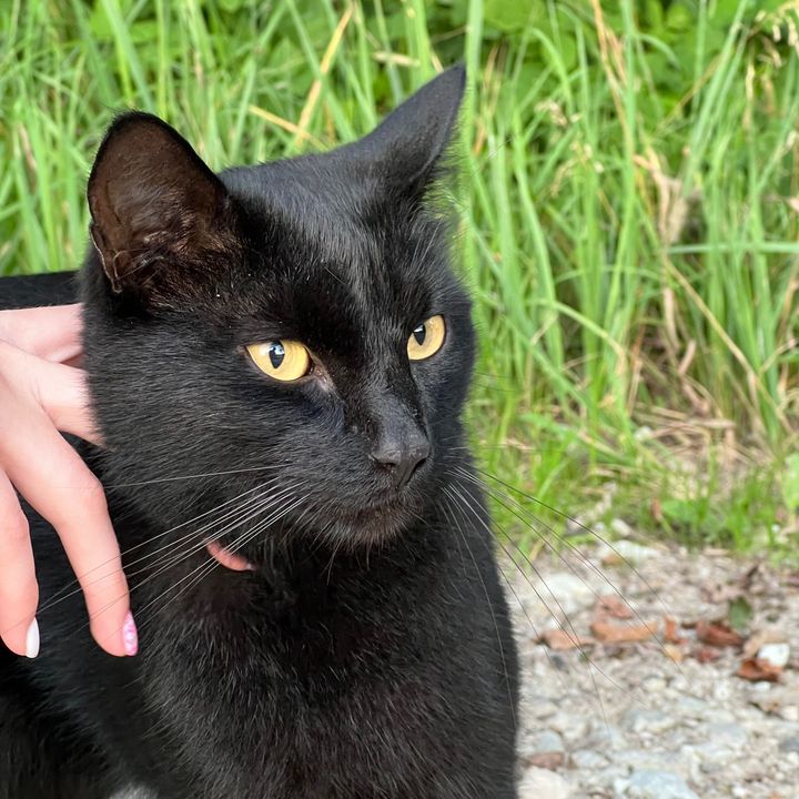 Profile Picture of Andrey Orlov (@andor228) on Tiktok