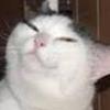 Profile Picture of Beverly Ryan (@@kazzykakes) on Tiktok
