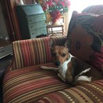 Profile Picture of Chris Dula (@beststuff) on Instagram