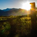 Adam Thorson - Instagram Profile Picture of Adam Thorson (@a_thor_photo) on Instagram