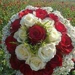 Rana Basharat Rana Basharat - Instagram Profile Picture of Rana Basharat Rana Basharat (@ranabasharatranabasharat) on Instagram