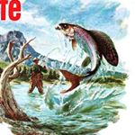 Profile Picture of Alex Hutcheson (@alhutch420flyfishing) on Instagram