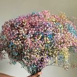 Profile Picture of Ariana Pichardo (@apichardo88) on Instagram