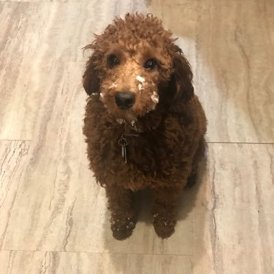Profile Picture of Luke Hook (@LukeHook6) on Twitter