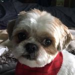 Profile Picture of Zachary Stahl (@stahlzach2009) on Instagram